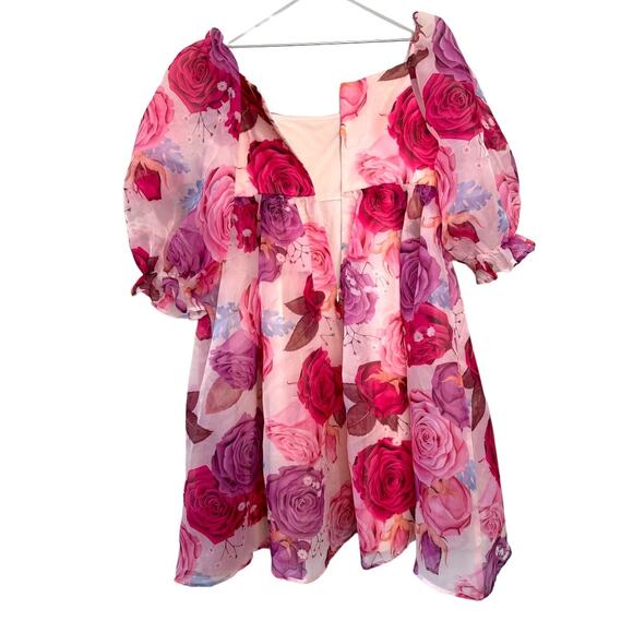 NWT JESSAKAE Pink & Purple Rose Polly Dress Size Medium - Picture 9 of 12